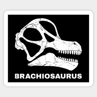 Brachiosaurus Fossil Skull Sticker